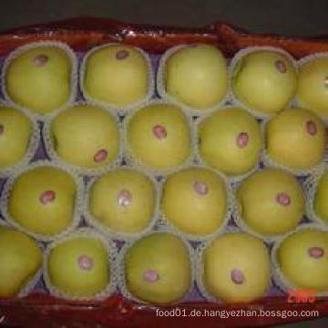 2015 New Crop Exporting Standerd Goldener Apfel